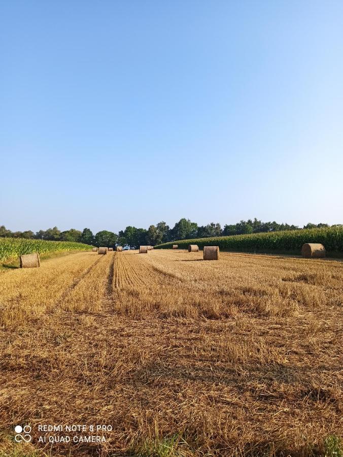 Dom Z Ogrodem Villa Laka  Buitenkant foto