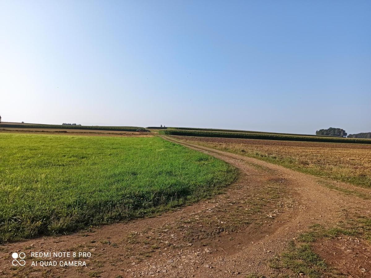 Dom Z Ogrodem Villa Laka  Buitenkant foto